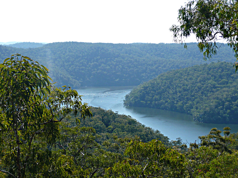 Hawkesbury River Study: CO2 improves tree growth, drought tolerance